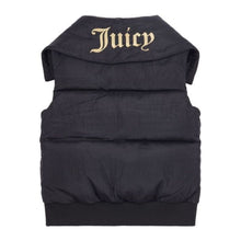 Load image into Gallery viewer, Black Embroidered Collar Gilet